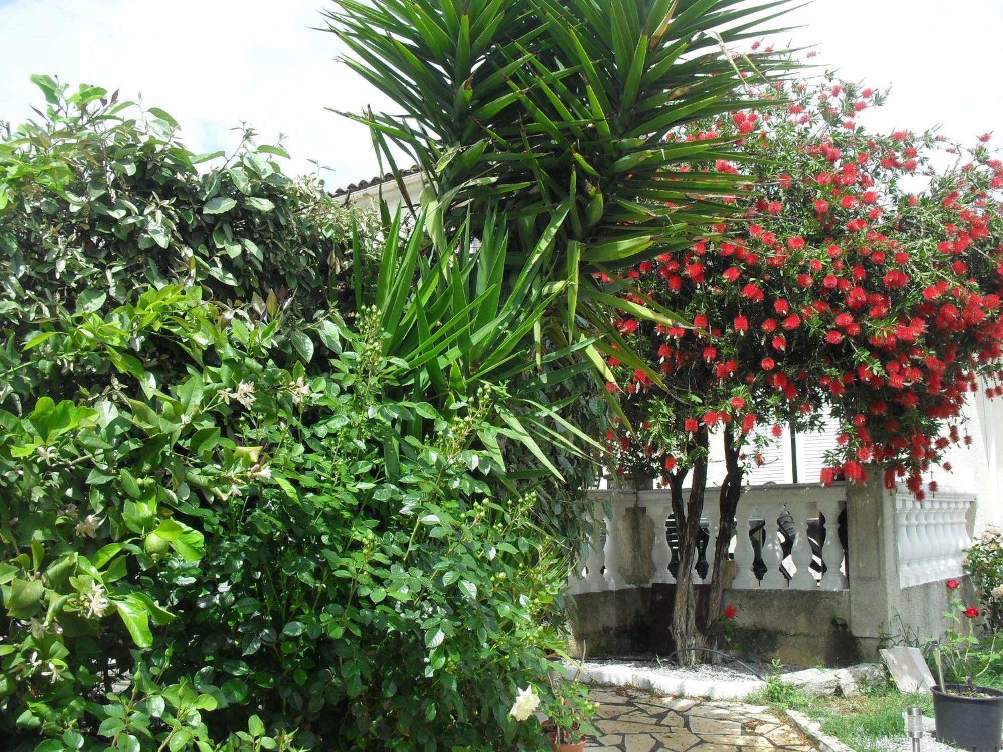 Veronique Bed and Breakfast Appietto Exterior foto